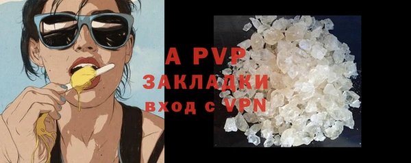 шишки Богородицк