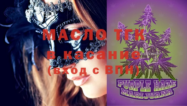 шишки Богородицк