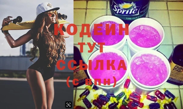 шишки Богородицк