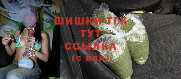шишки Богородицк