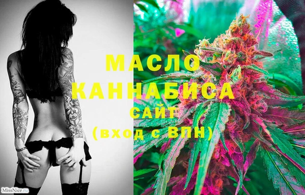 шишки Богородицк