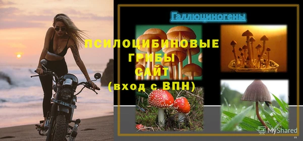 скорость Богданович