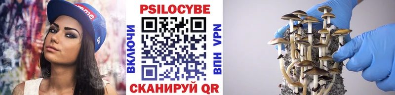где купить наркоту  Далматово  KRAKEN ТОР  Псилоцибиновые грибы Psilocybe 